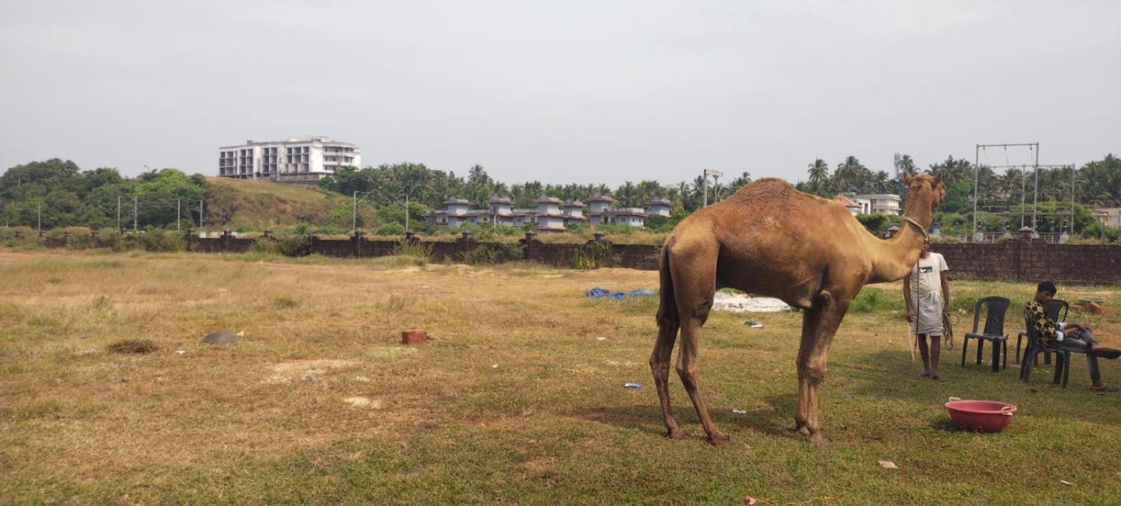 Bekal Fort Beach Resorts Bekal Town Luaran gambar