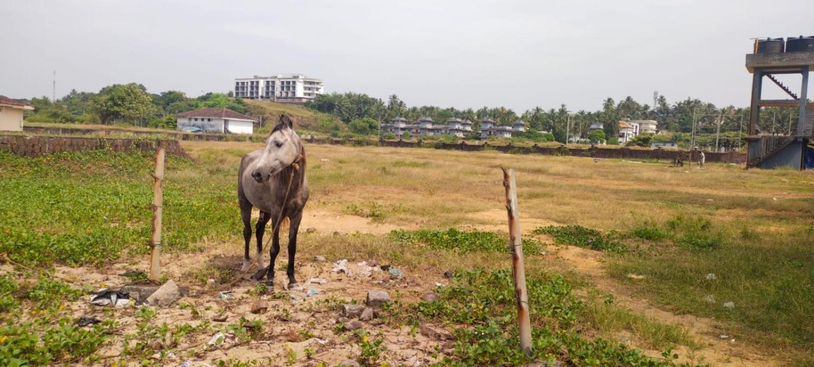 Bekal Fort Beach Resorts Bekal Town Luaran gambar